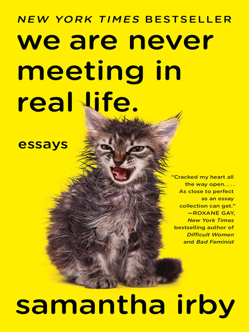 Cover image for We Are Never Meeting in Real Life.